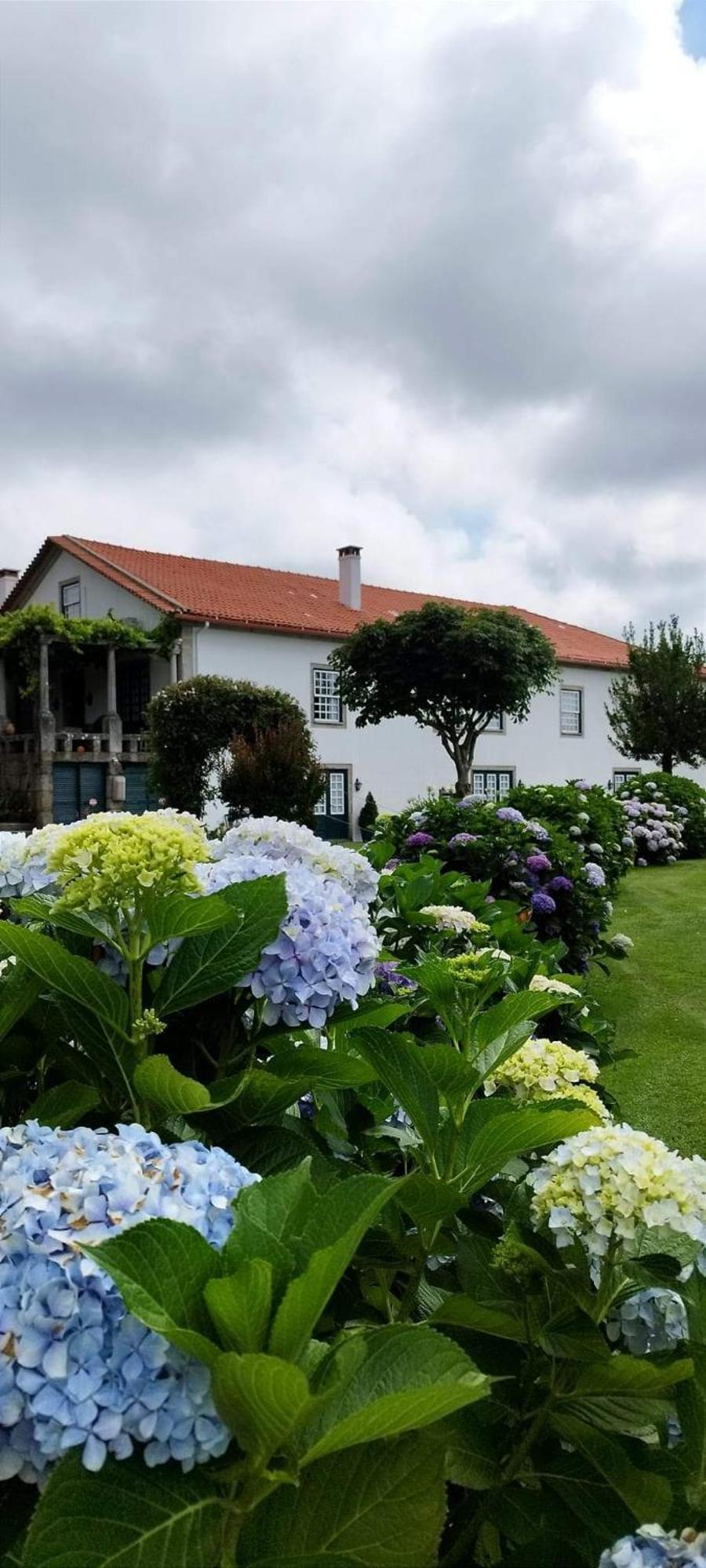 Bed and Breakfast Casa De Santa Ana Da Beira Сейя Экстерьер фото